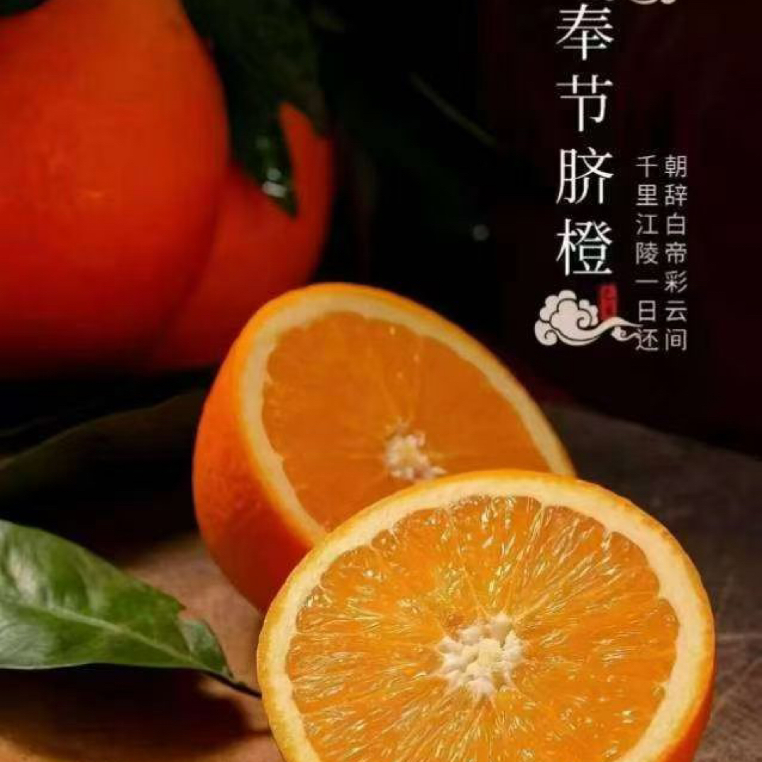 正宗奉节脐橙奉节特产甜橙子果园直发新鲜应季孕妇水果坏果包赔