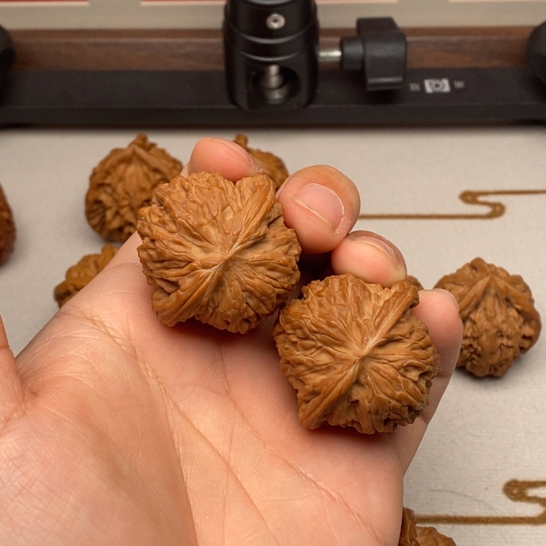 养****核桃磨盘正磨精对