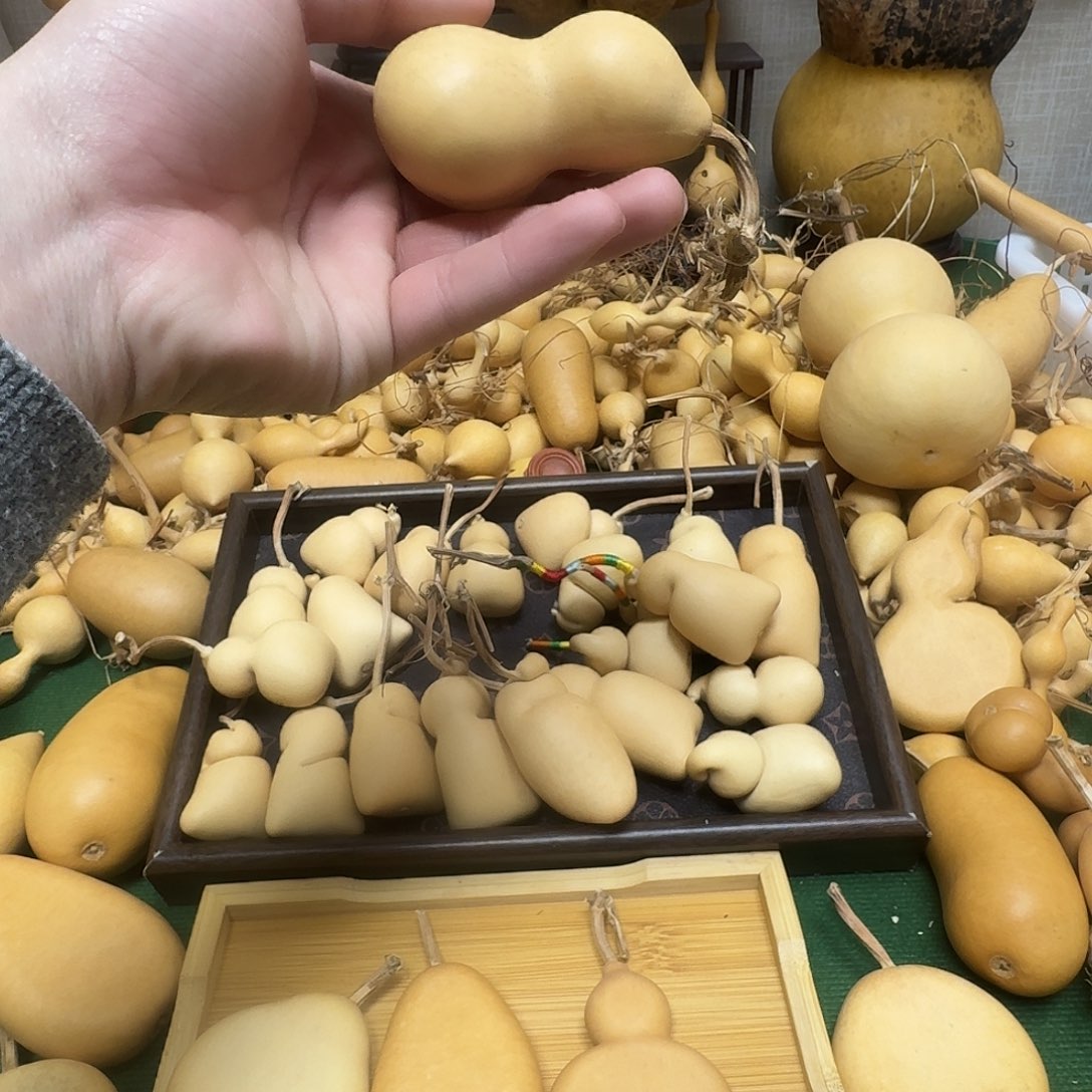 知***乐葫芦11111111111111