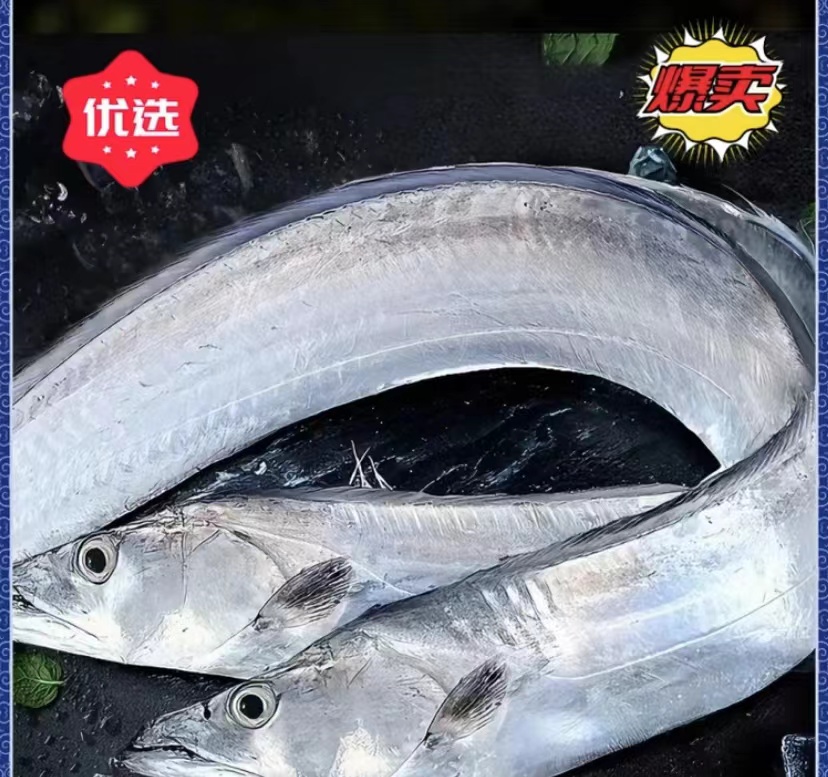 8条 连云港新鲜速冻带鱼 ，肉质细嫩，每条【6-7两左右】