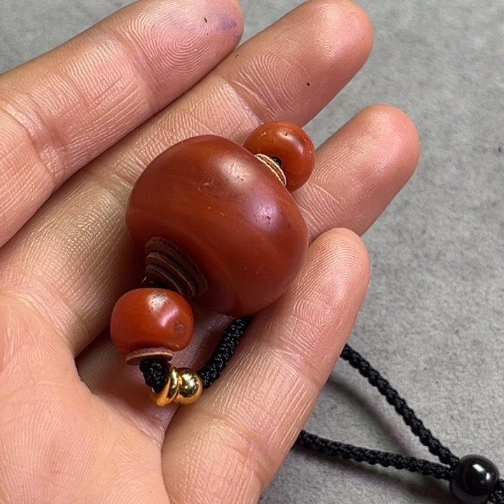 颈饰琉璃草**鹰琉璃……….