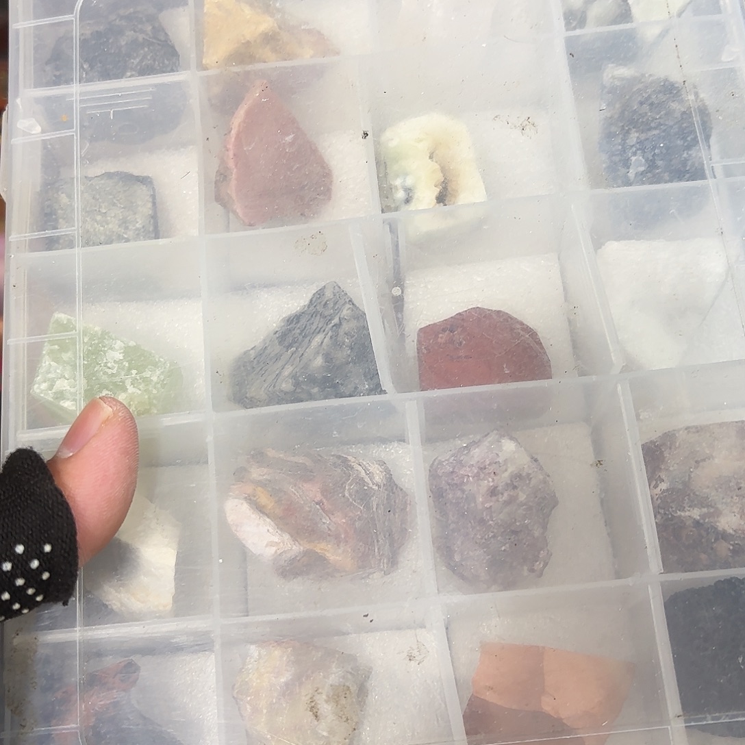 好***生杂色豆（科檀/科特迪瓦檀木）