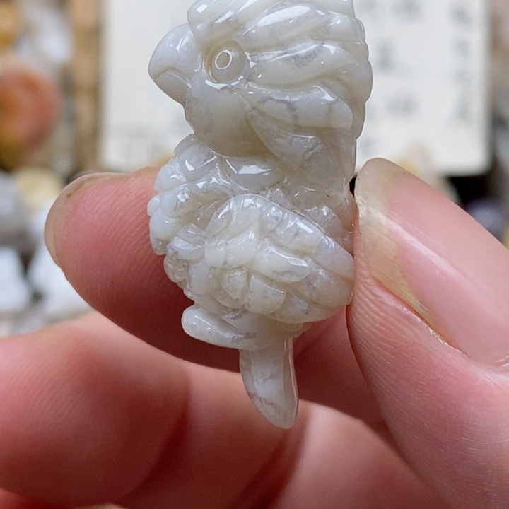 颈饰未镶嵌硅化珊瑚（珊瑚玉）小