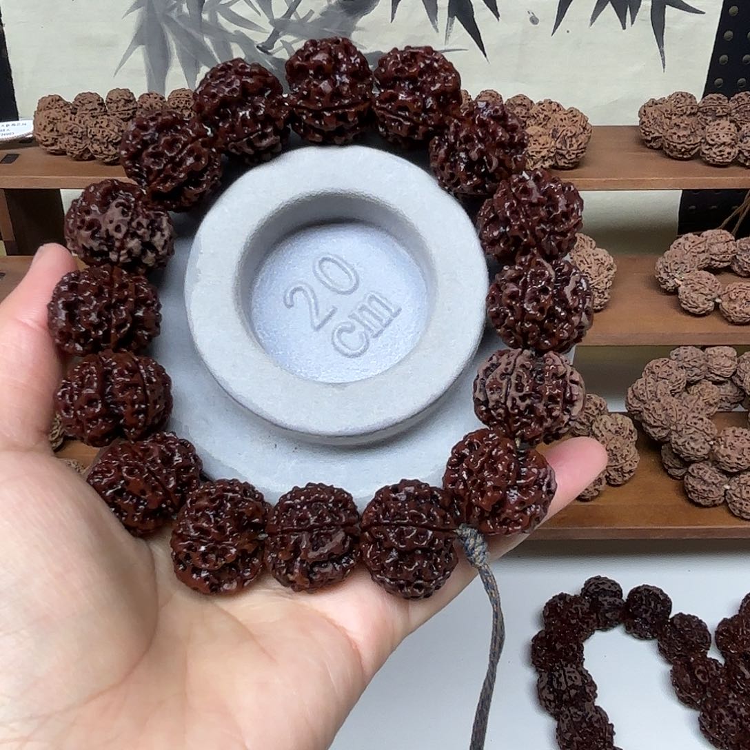 吊坠金刚菩提原生态大金刚菩提树籽