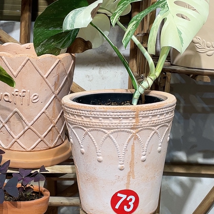 20×21花盆一个手工，，，