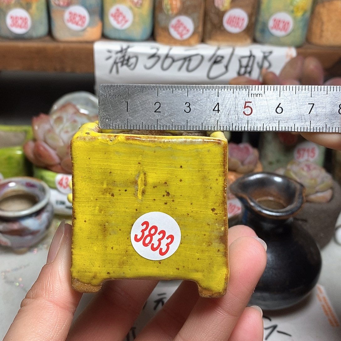 红陶拍5送一个小