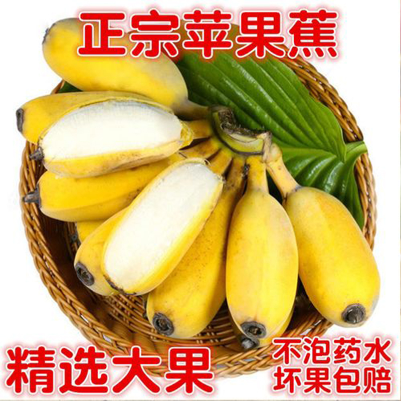 广西Z苹果蕉新鲜芭蕉当季水果香甜软糯自然熟5斤