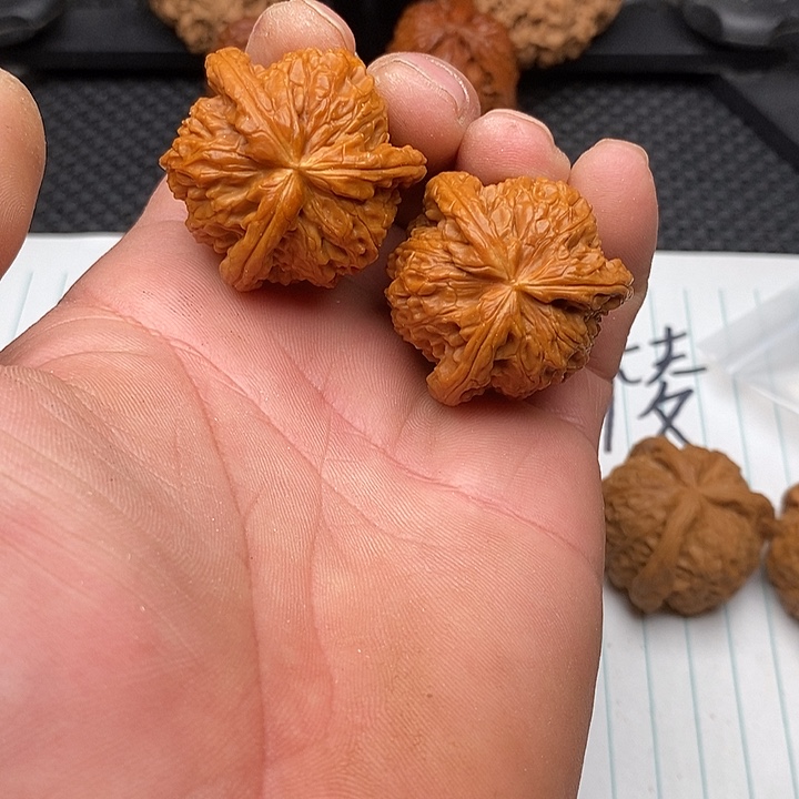 核桃手串/手链白狮子14