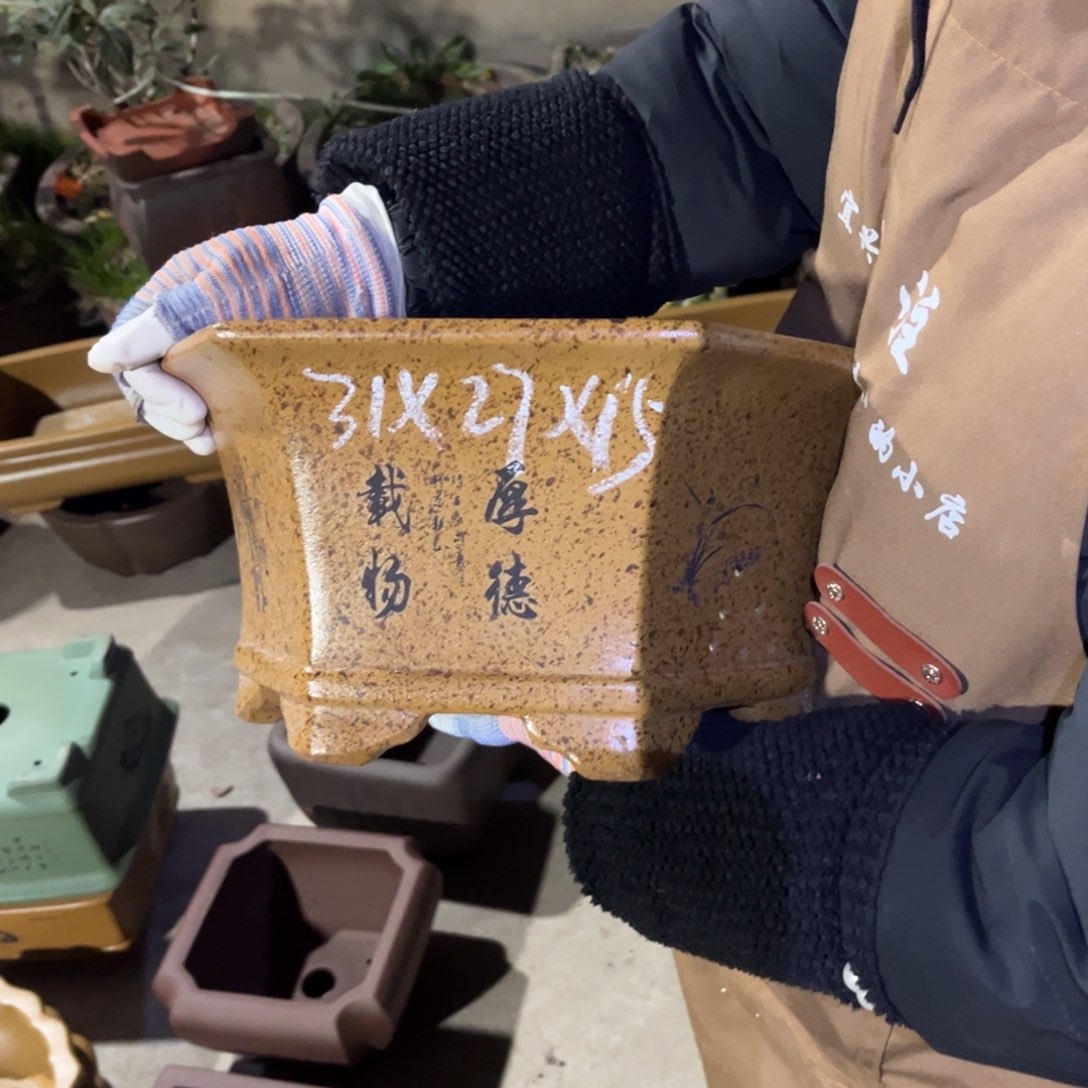 紫砂花盆盆景艺术