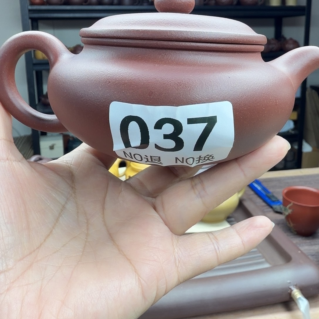 扁腹壶230cc紫泥壶