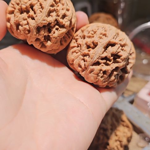 文玩核桃吊坠45粗筋