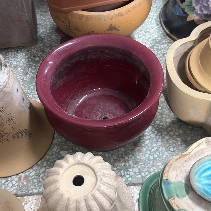 红陶从****+。。。。。。。。。。。。