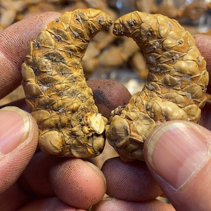 吊坠文玩核桃东北特产173