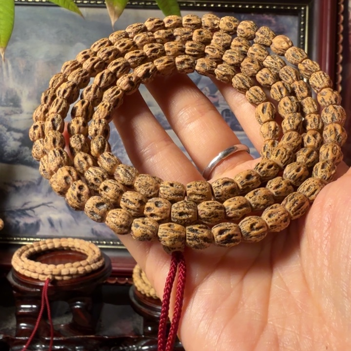 柏香籽/百香籽手串肥*