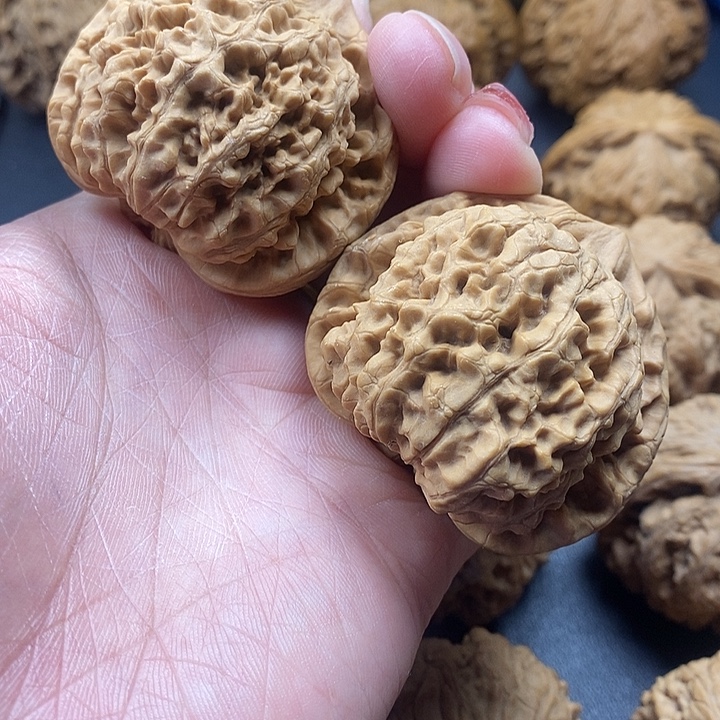 吊坠龙脊菩提官帽50