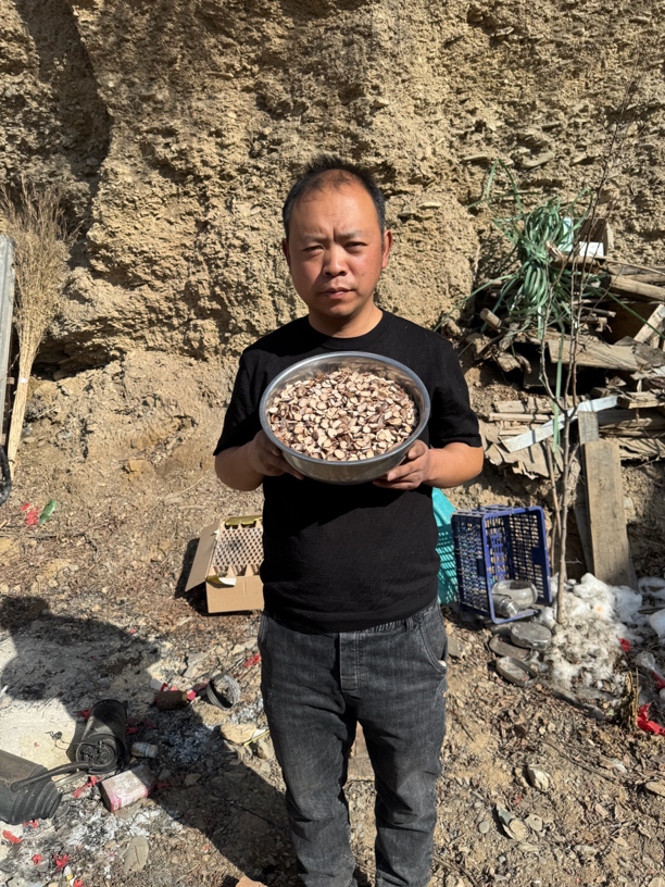 白芍 浙江磐安县种植白芍 无熏硫
