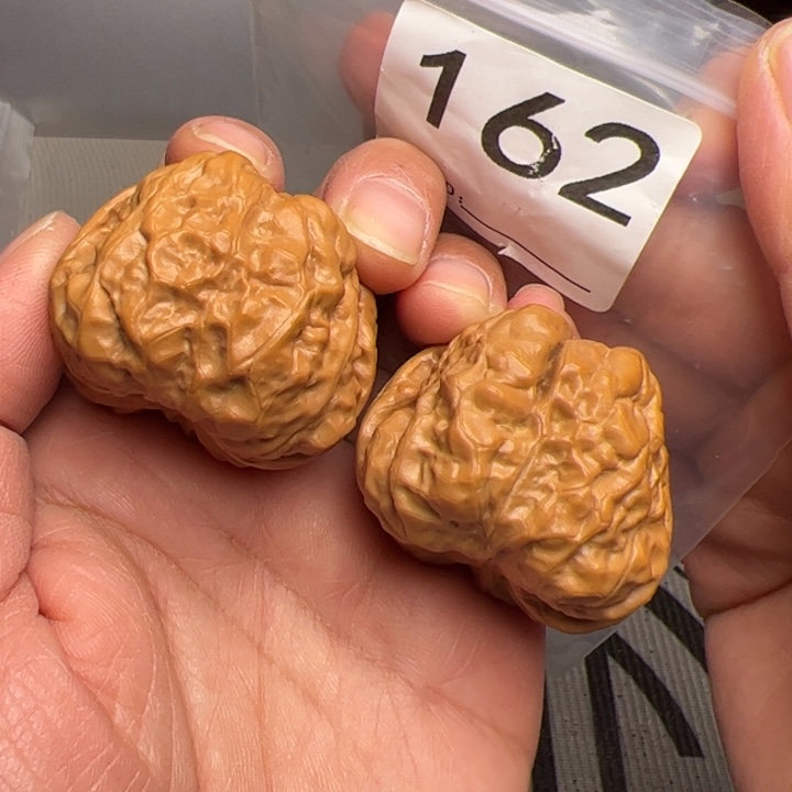 核桃蛙饼162号蛙蛙