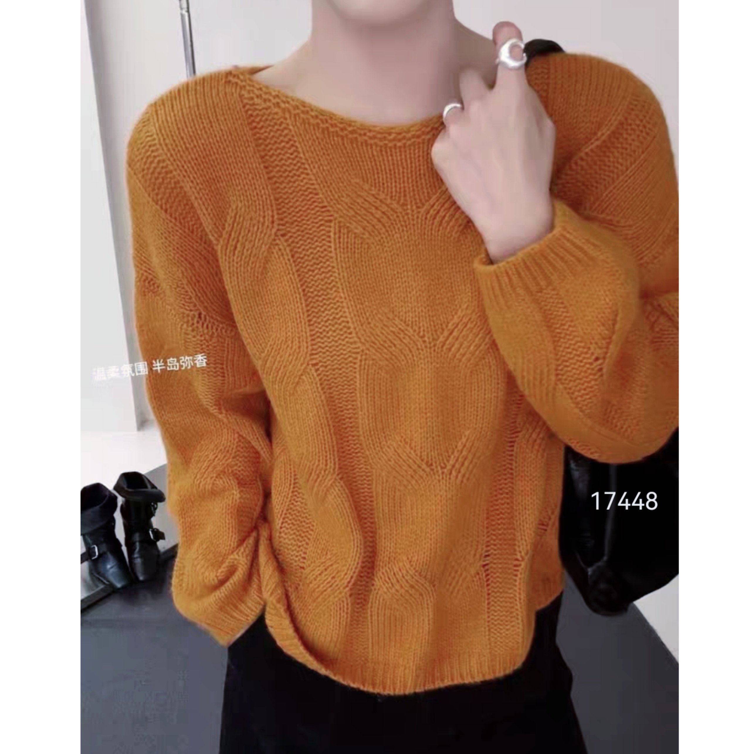 17448 WANGDAN（部无水洗唛介意慎拍)一字领麻花加厚针织衫