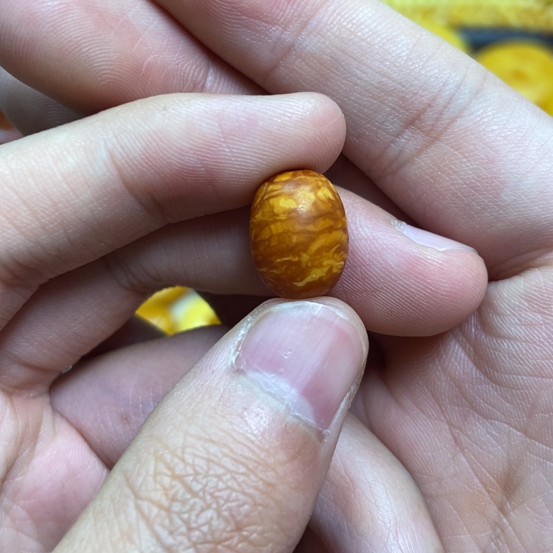 未镶嵌琥珀珠宝奇石