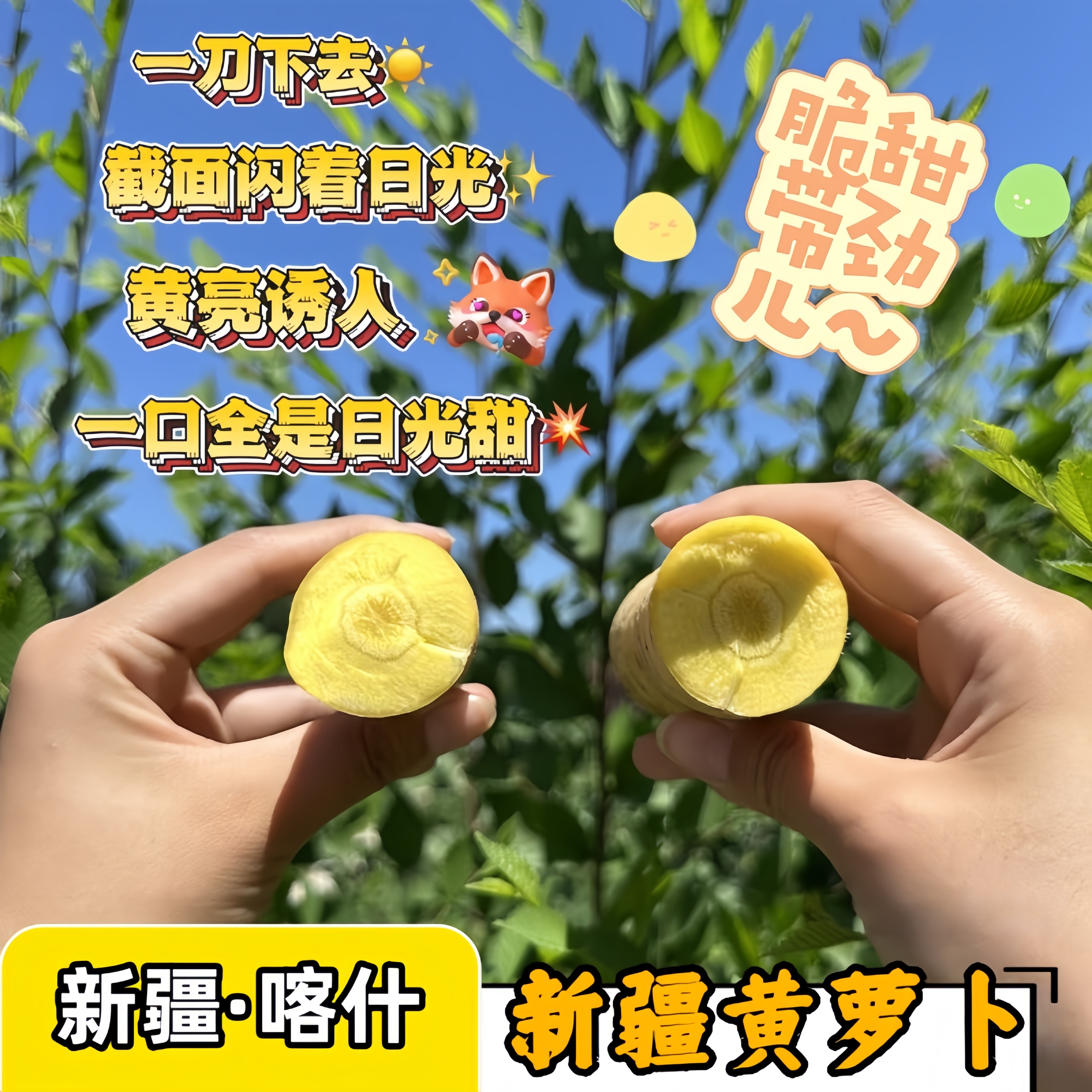 新疆直发新鲜现挖黄萝卜脆甜多汁清甜可口新疆投产当季蔬菜