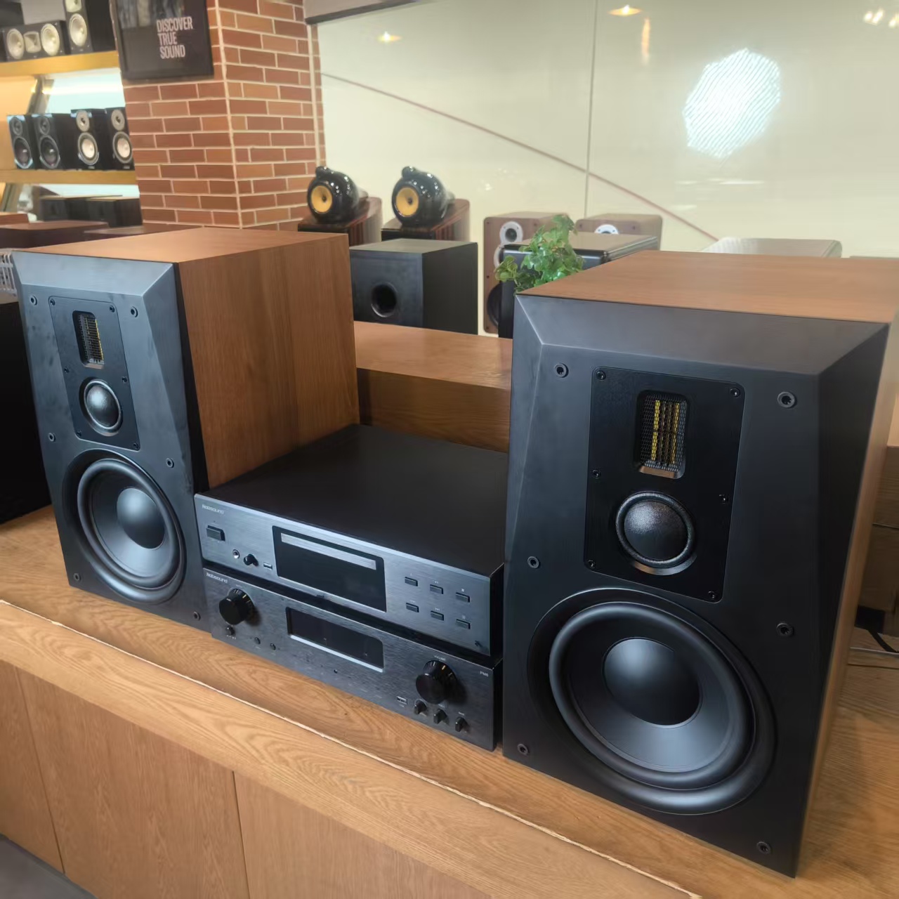 天逸童笛S8三分频木质带式高音音箱PM6胆机HiFi蓝牙功放书架音箱