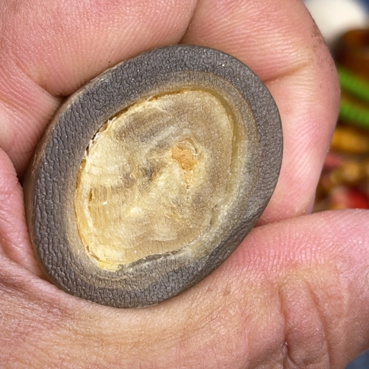 大叶紫檀（黑酸枝木类）白檀木树尖尖