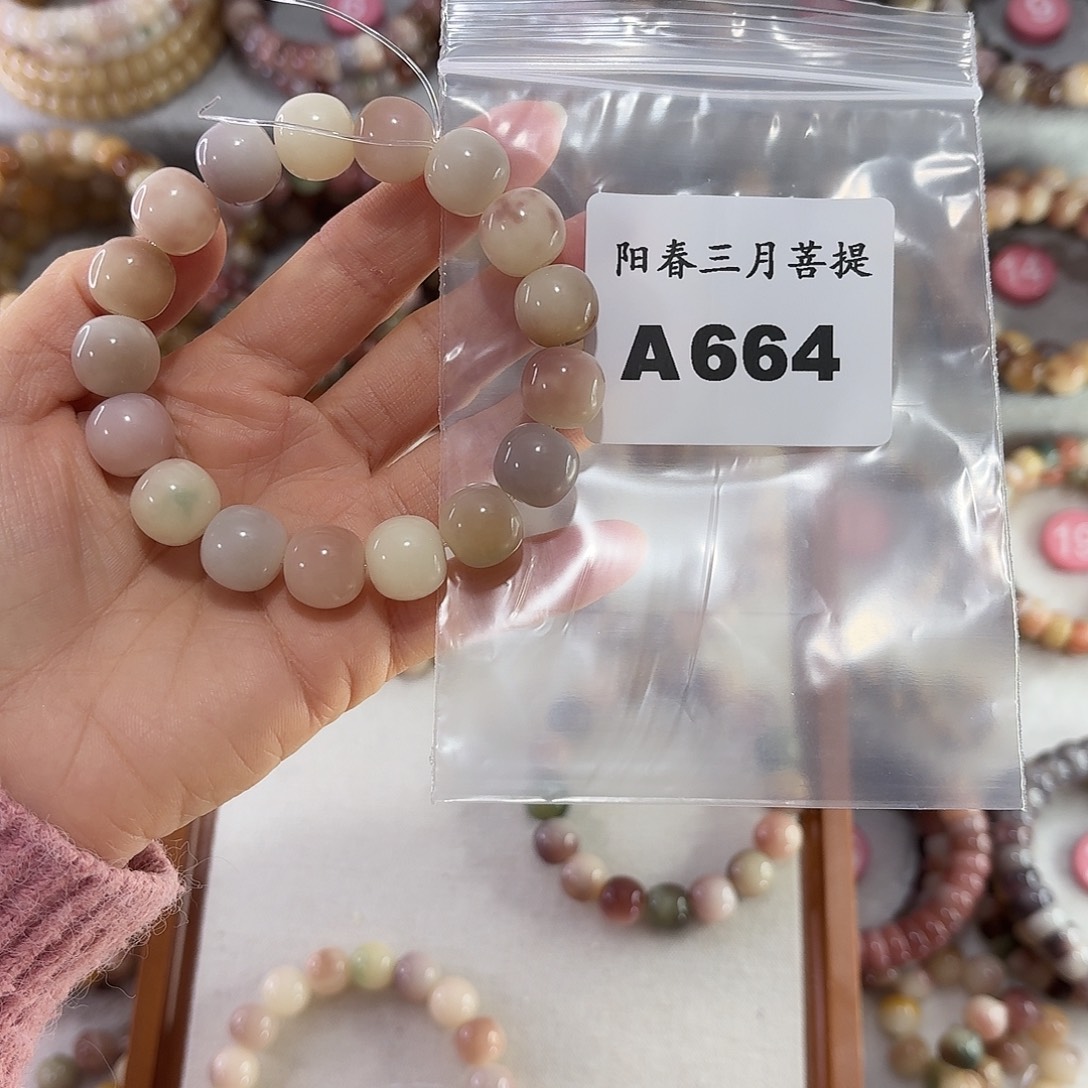 주****吊坠菩提根/象牙果