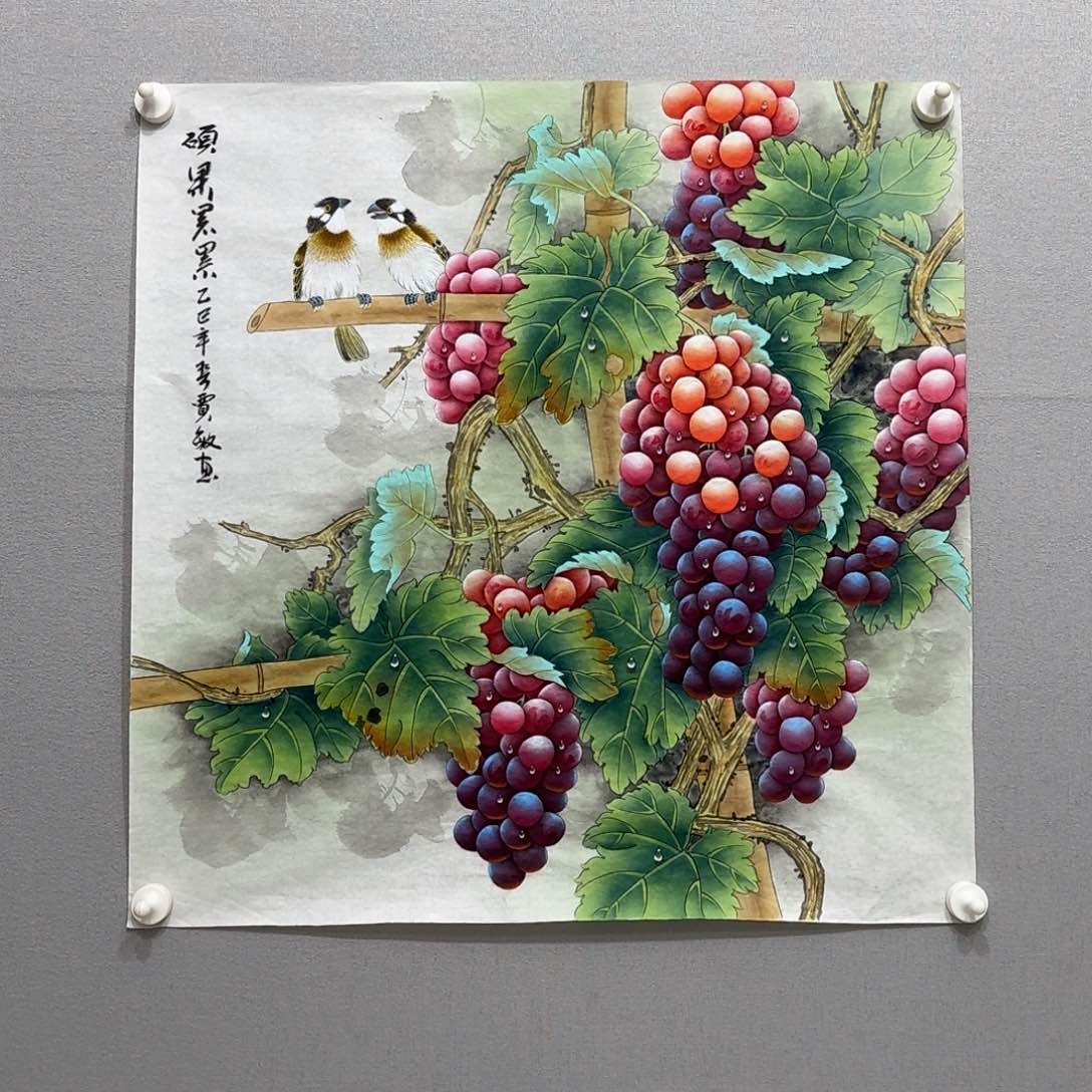 国画工笔葡萄斗方贾敏