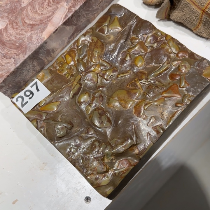 11111111也*11111111