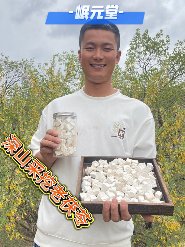 《野生茯苓》深山采挖茯苓老树干货泡水煮水煲汤无硫无添加自然晾晒