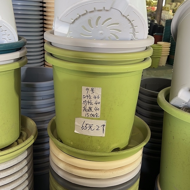 微瑕9#口径46无托果绿3个