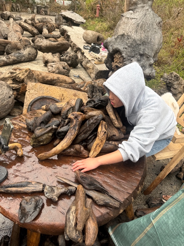 民间使用分化木阴沉木