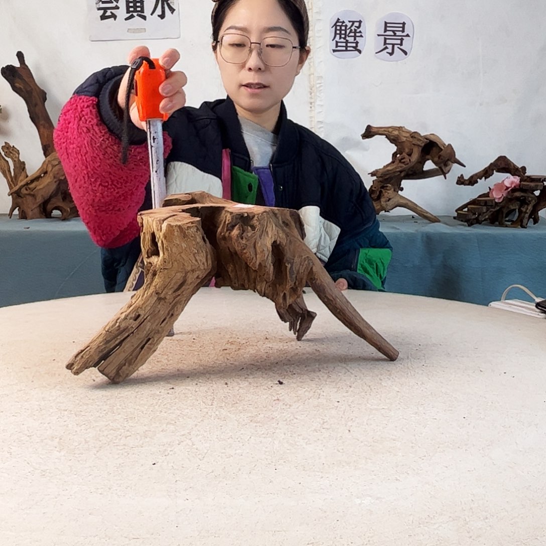 沉木造景爬宠造景
