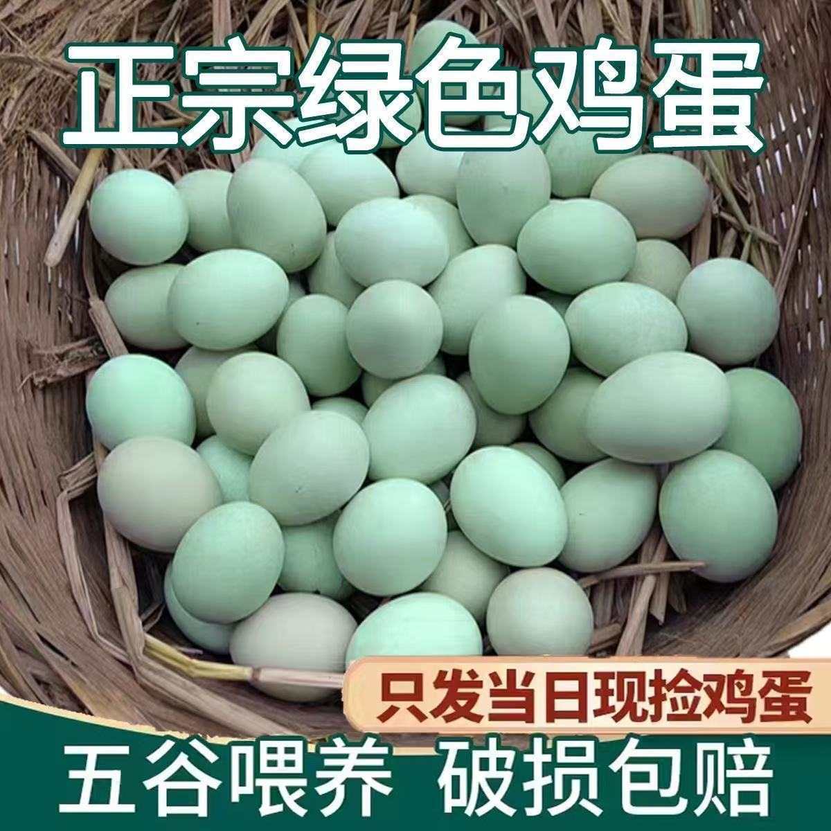 正宗绿壳土鸡蛋50枚新鲜土鸡自养农家蛋营养丰富鲜美可口烤鸭蛋