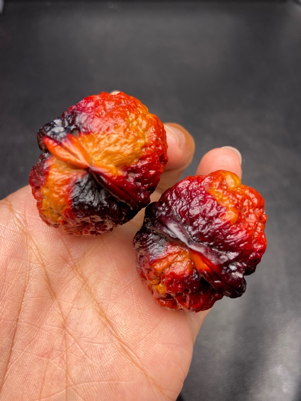 云南铁核桃 文玩核桃 40-41尺七彩老蟾头发货图片同款随机一对