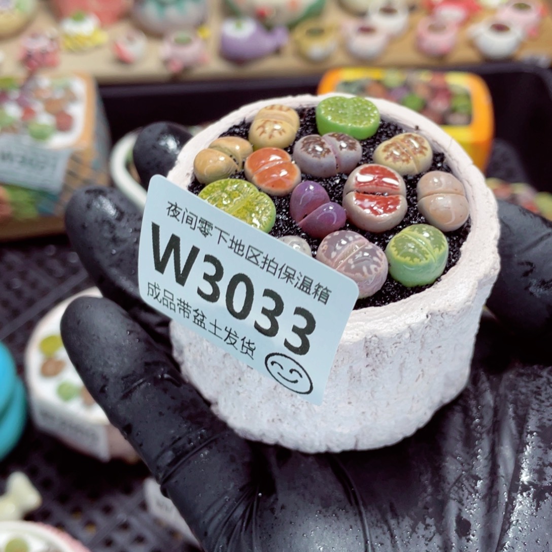 夜间零下地区拍保温箱w3033