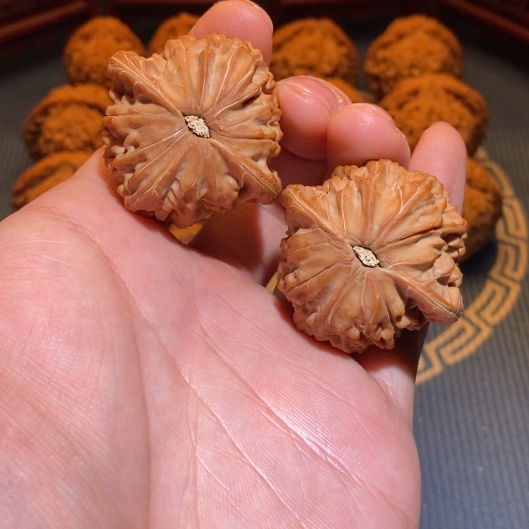 探***一41尺 全品白茬 正磨