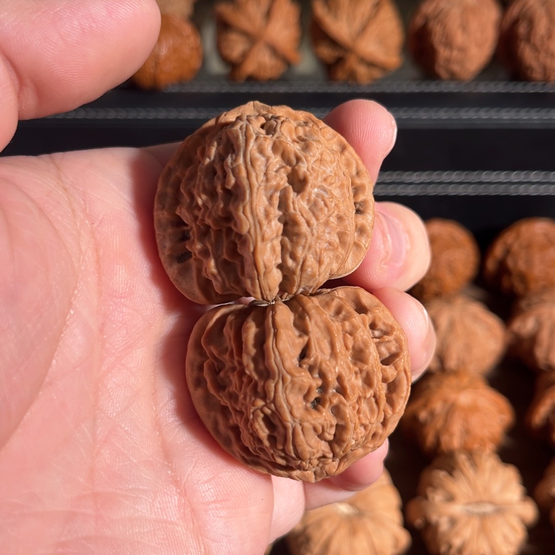 手串/手链核桃欧*39全品s三角白