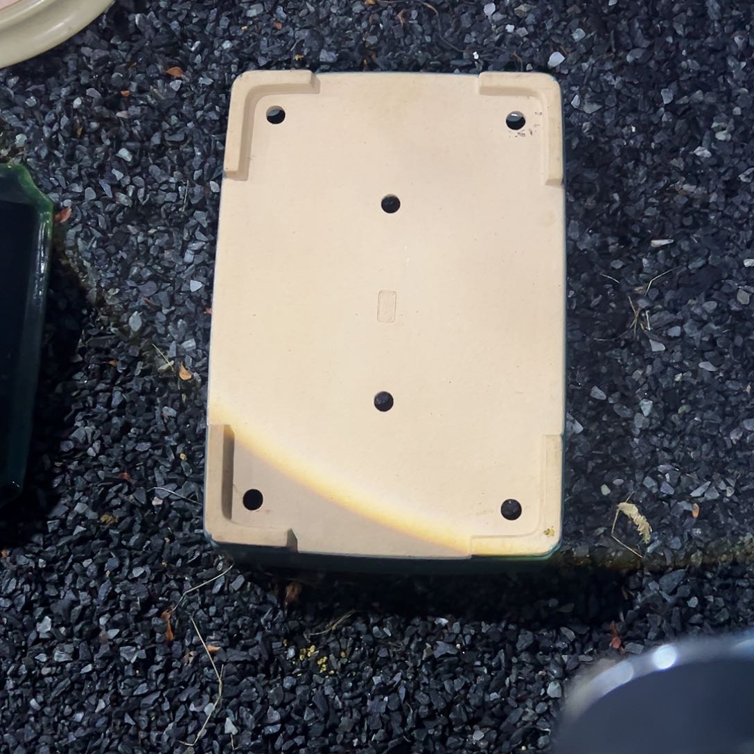 无花朵杂木盆景盆