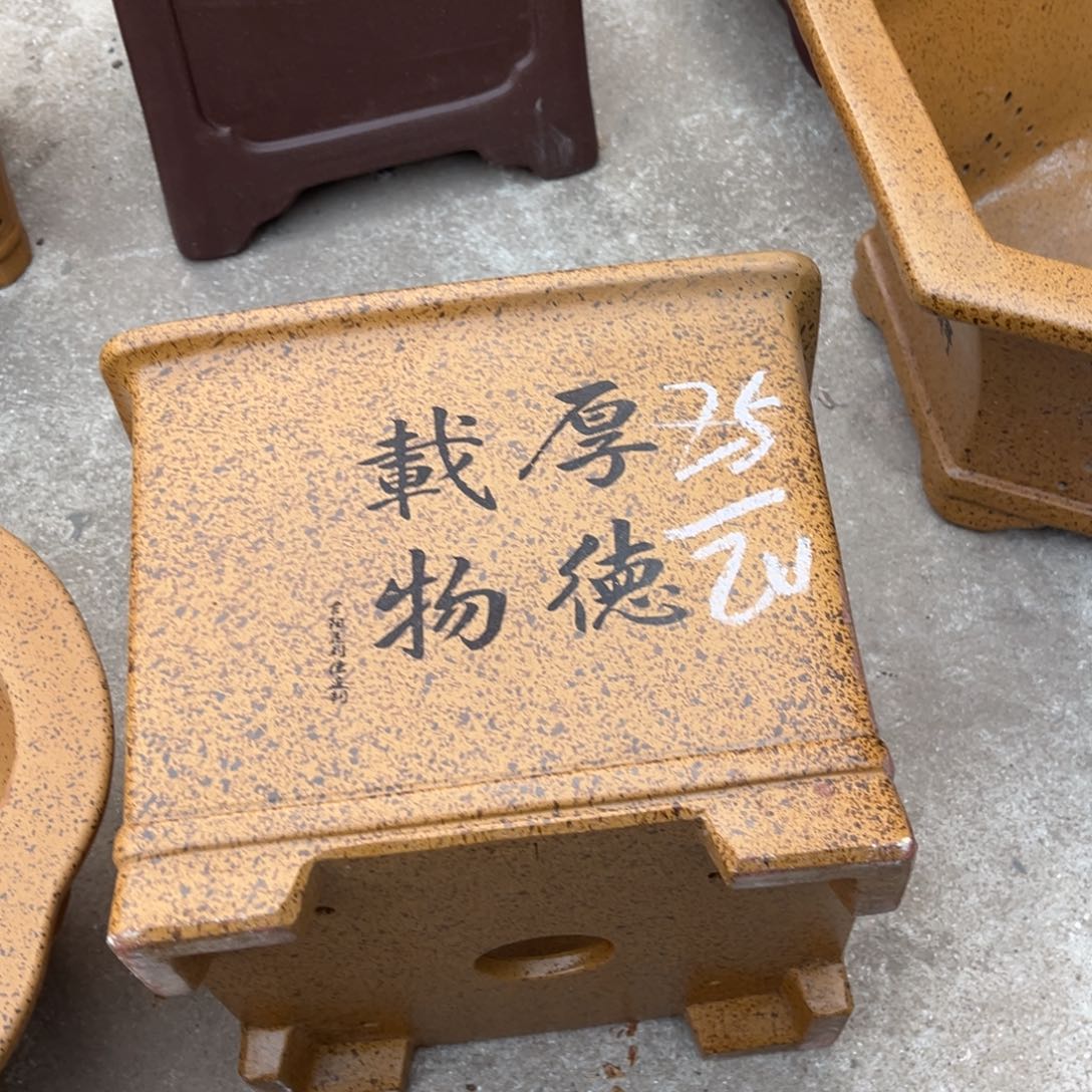 紫砂花瓶盆景艺术