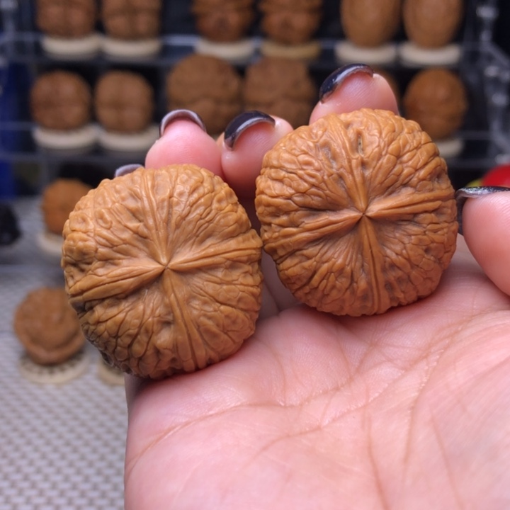 把件文玩核桃10号状元红四楞35尺