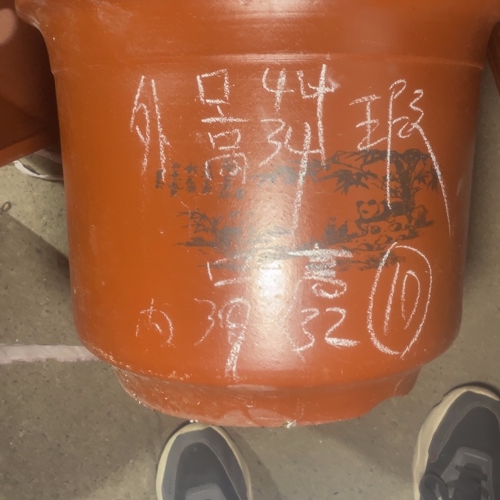 周三周四自始至终自作自受 