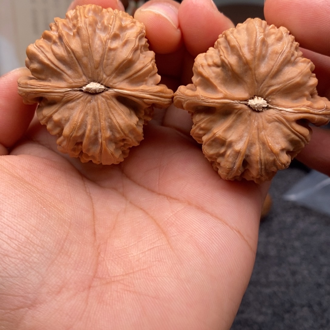 文玩核桃把件41白狮子