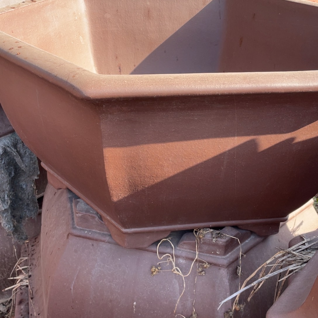 黄***居特价处理紫砂一只补米链接