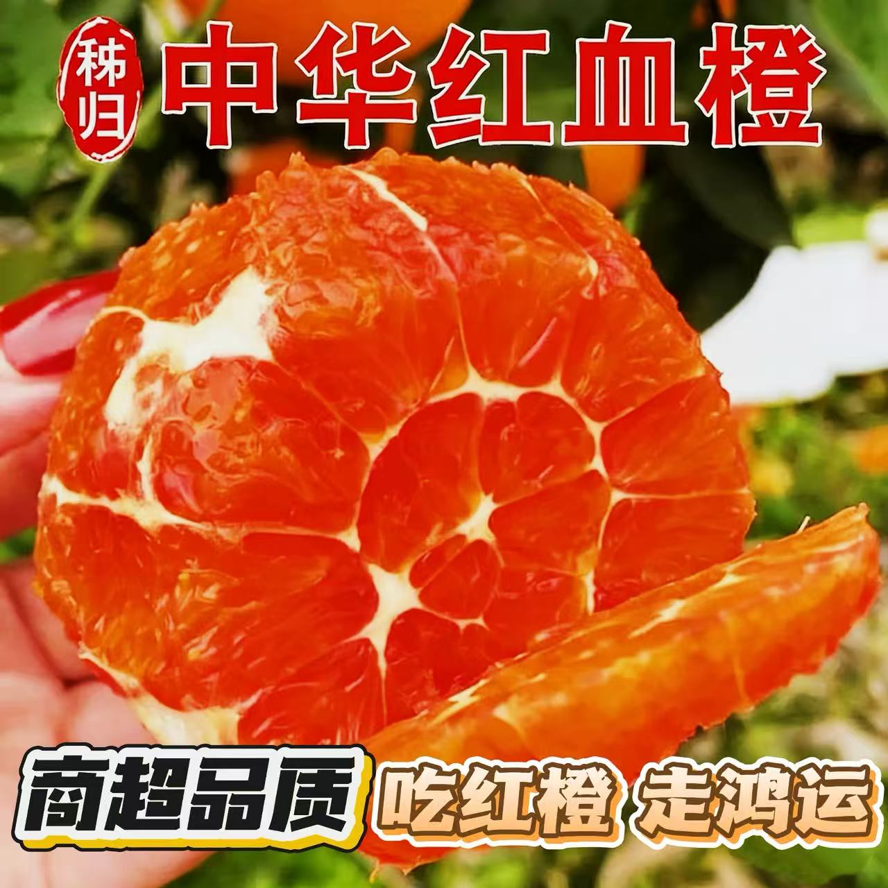 中华红血橙正宗秭归红橙时令橙子水果高山当季新鲜酸甜多汁现摘