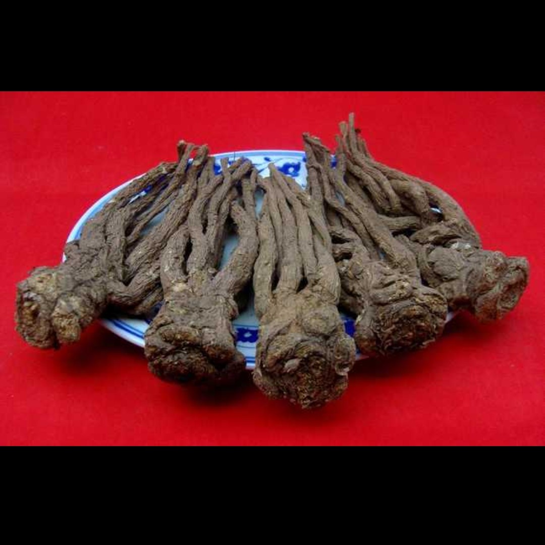 甘肃农民种植大条当归250g-500g包邮