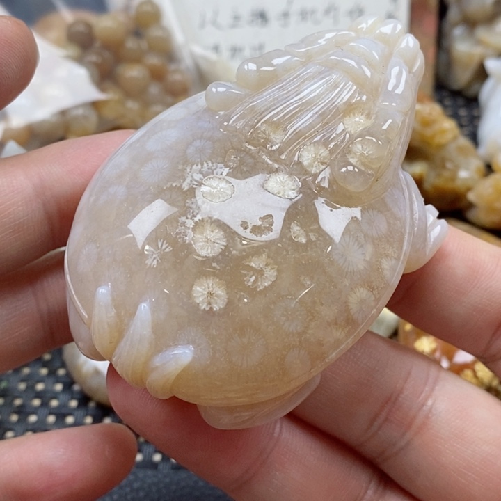 硅化珊瑚（珊瑚玉）颈饰未镶嵌
