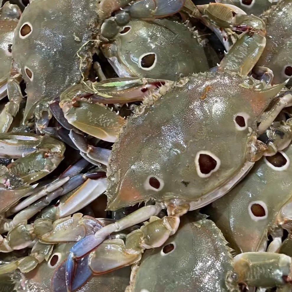 （三目蟹）以直播间为准，活活压冰发《保鲜不包活》会有断腿介意不拍