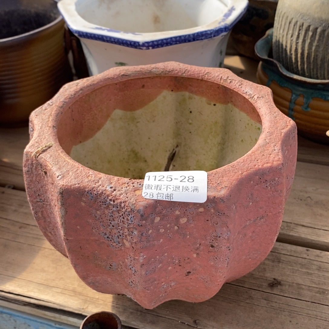 28号花盆内12高12花盆