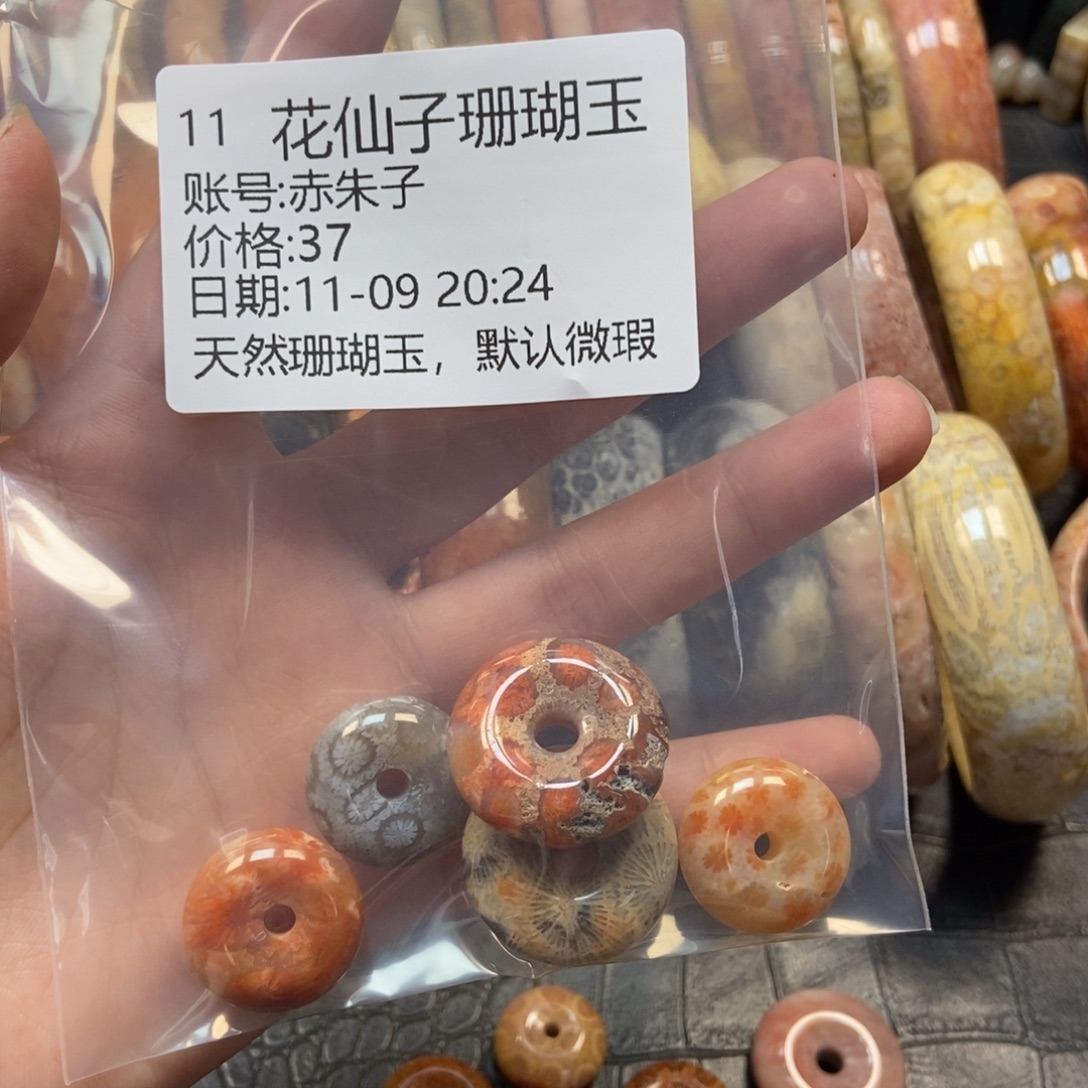 赤***子硅化珊瑚（珊瑚玉）未镶嵌珠宝半成品11